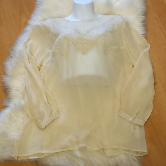 Max & Mia Sheer Lace  Blouse - Picture 7 of 10